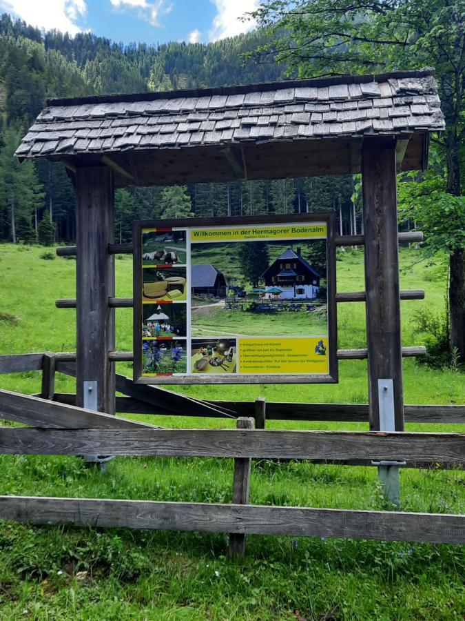 Haus Steinthaler Lägenhet Stockenboi Exteriör bild