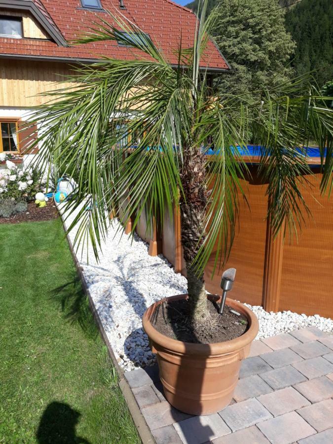 Haus Steinthaler Lägenhet Stockenboi Exteriör bild